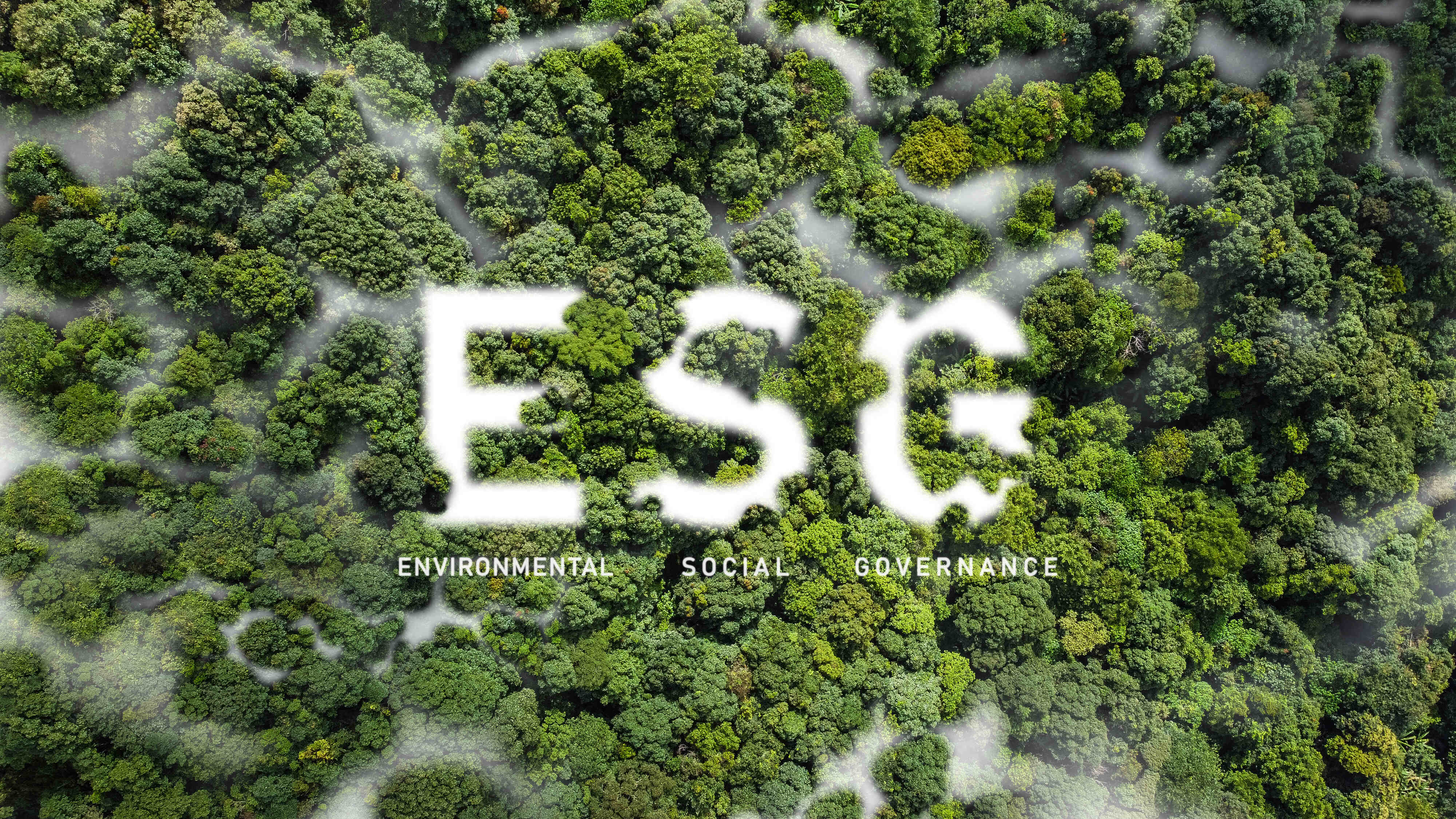 ESG w działach HR Napis ESG na tle roślinności